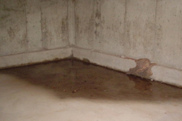 standing water wet basement
